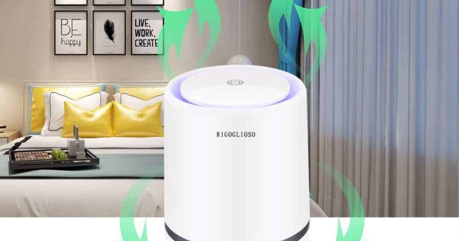 Best Air Purifier for Smoke (Reviews) in 2022 + Buying Guide