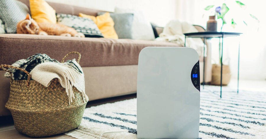 The 8 Best Dehumidifiers (Reviews) For Home Use