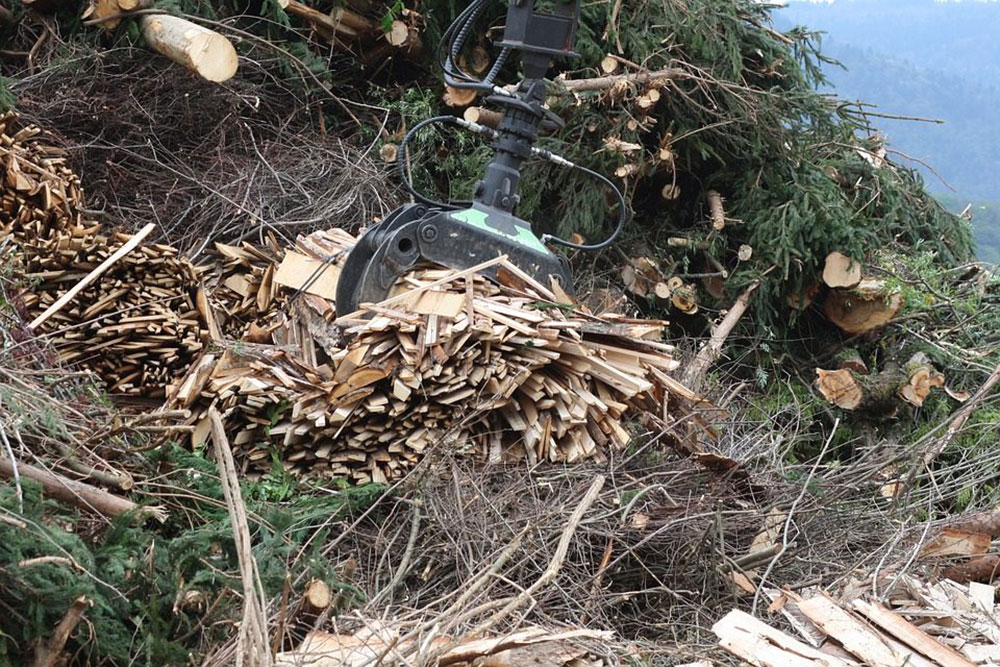 Biomass wood chip boiler fuel