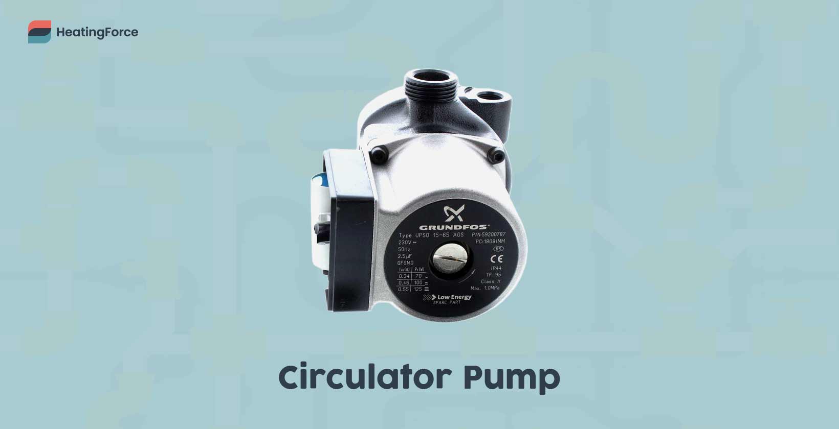 Circulator pump