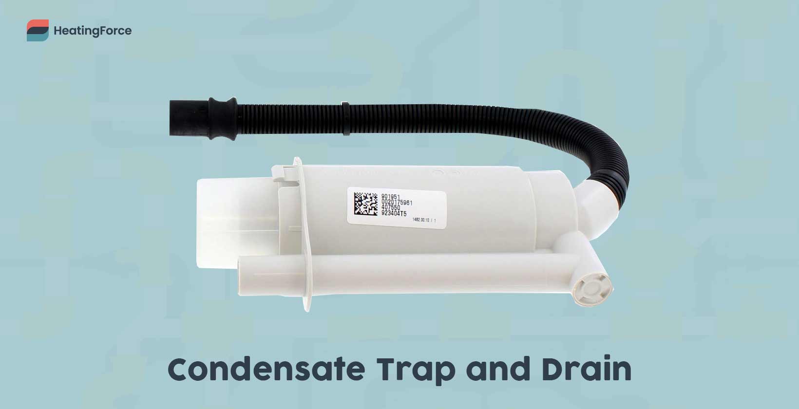 Boiler condensate trap and drain
